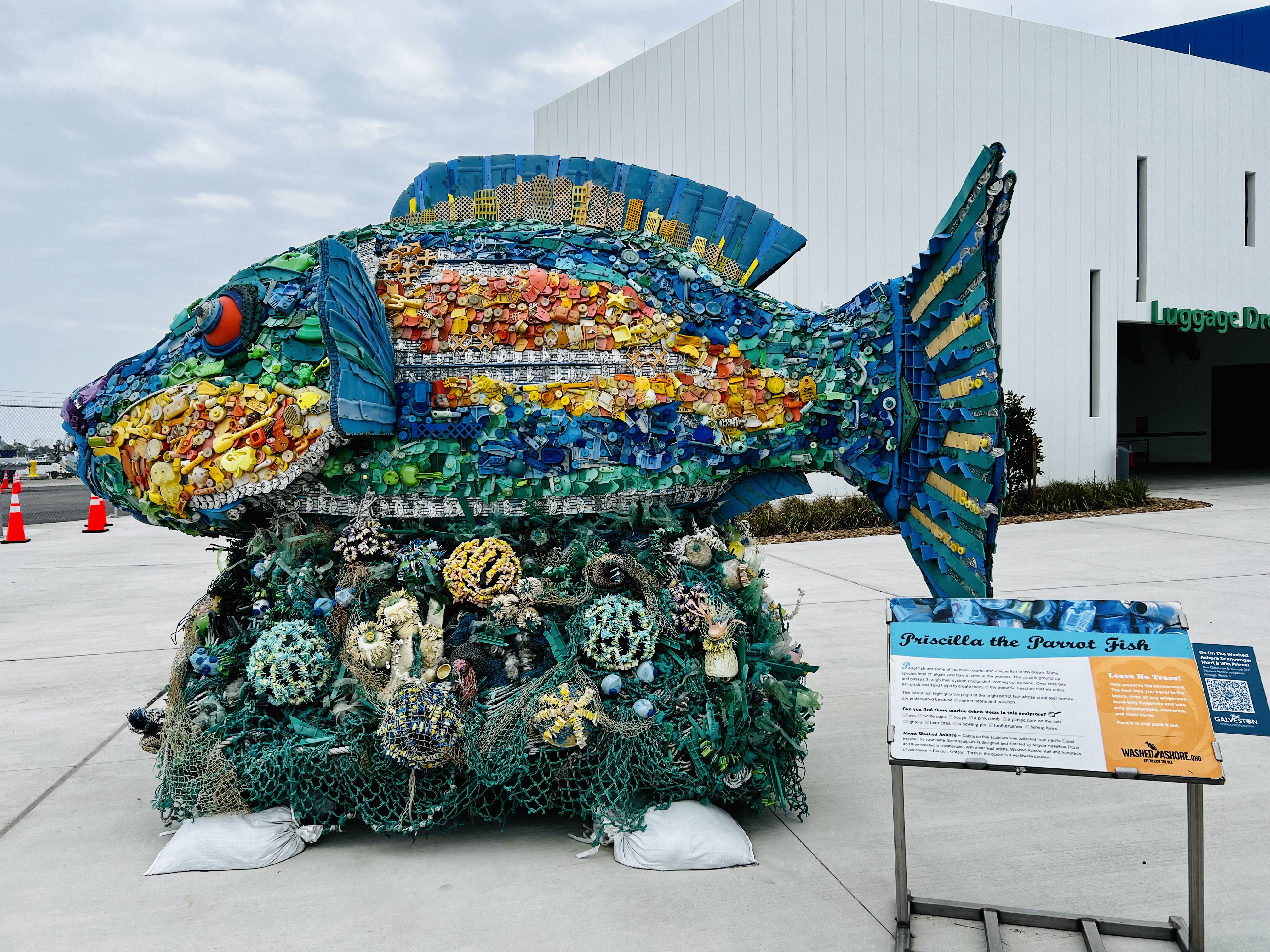 ONE MAN'S TRASH ~ ANOTHER MAN'S ART! | islandwidow, image size:4032x3024